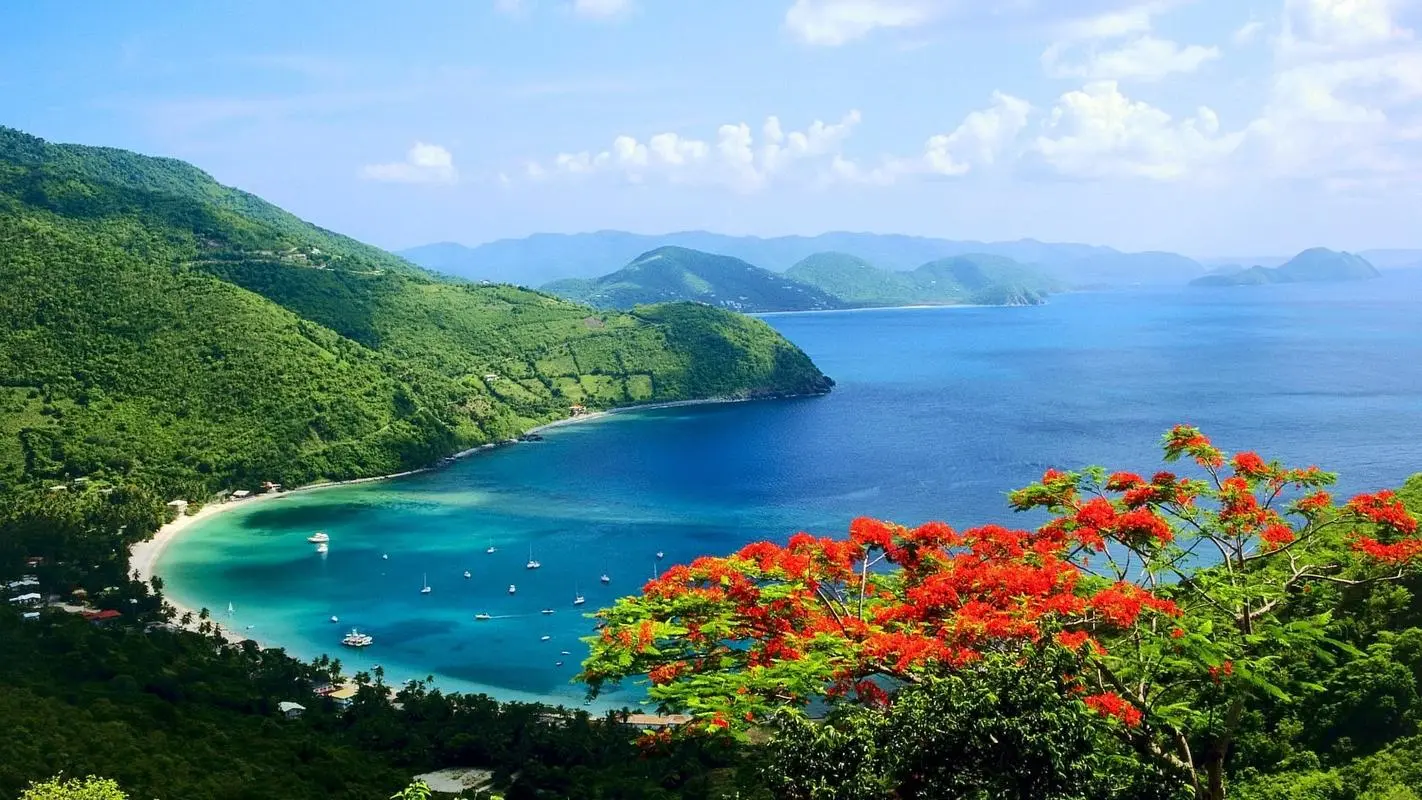 创意稳定性高性能